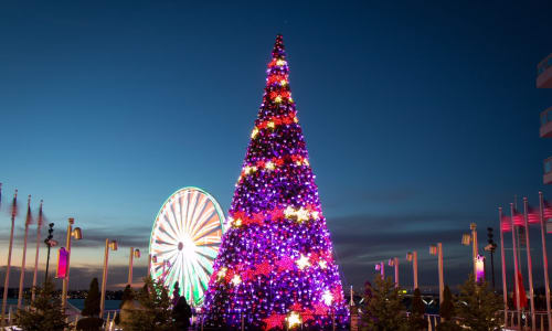 Thumbnail for FREE Nightly Tree Lighting Show at National Harbor