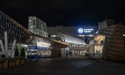 Thumbnail for Aquarium After Dark: Adults Edition 