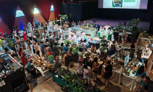 Thumbnail for Holiday Plant Market