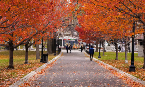 Thumbnail for 77 things to do in Boston this weekend