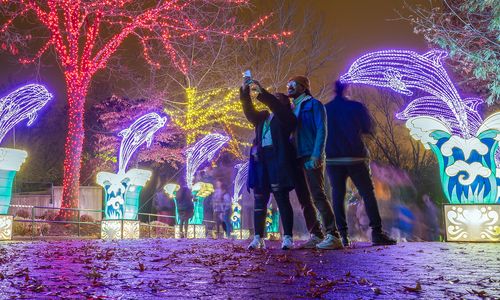 Thumbnail for ZooLights! at the Smithsonian's National Zoo