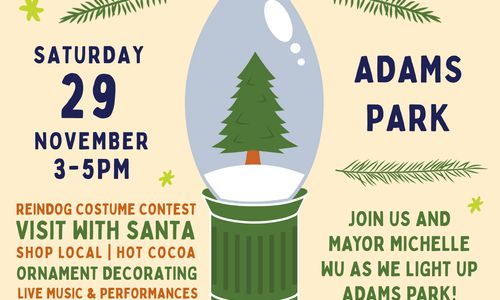 Thumbnail for  RVMS Tree Lighting 