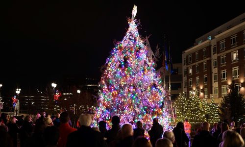Thumbnail for  Generals Bridge & Park Tree Lighting