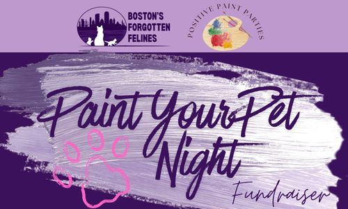 Thumbnail for Paint-Your-Own-Pet with Positive Paint Parties & Boston's Forgotten Felines