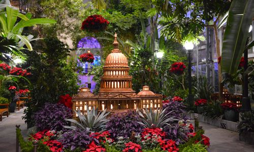 Thumbnail for Season's Greenings: Dino-Mite! 2025