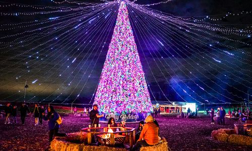 Thumbnail for Winter City Lights