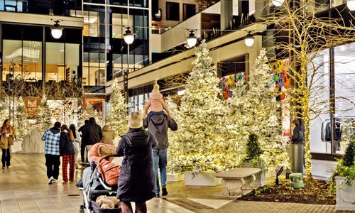 Thumbnail for Seaport Holiday Stroll