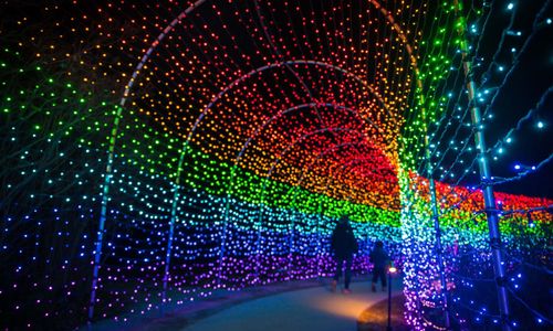 Thumbnail for Night Lights at New England Botanic Garden: Dazzling Gardens