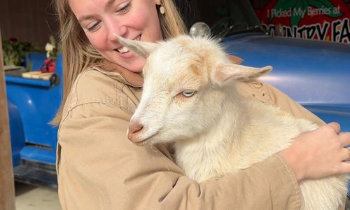 Thumbnail for Goat Cuddling & Grooming Experiences at Great Country Farms