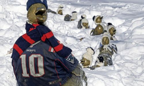 Thumbnail for 69 things to do in Boston this weekend