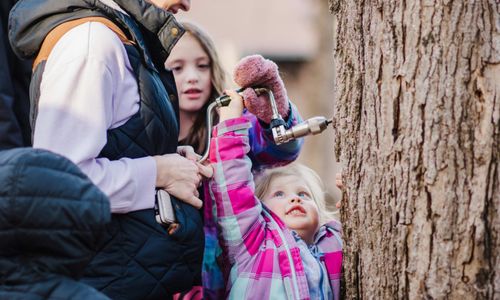 Thumbnail for Maple Sugaring at the Boston Nature Center
