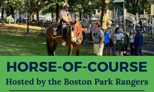 Thumbnail for HORSE-OF-COURSE