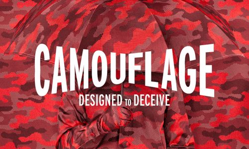 Thumbnail for NEW Camouflage: Designed to Deceive