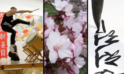 Thumbnail for Cherry Blossom Celebration