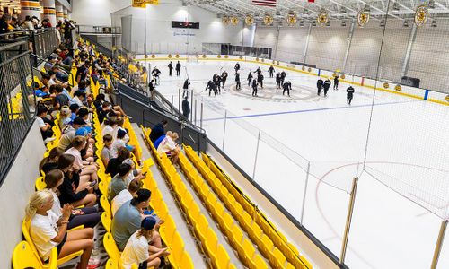 Thumbnail for Boston Bruins Practices | Free Public Viewing Sessions at Warrior Ice Arena