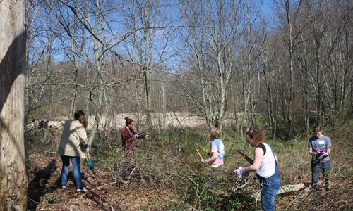 Thumbnail for Statewide Volunteer Day at the Boston Nature Center