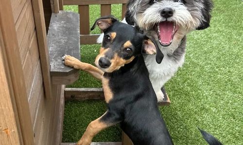 Thumbnail for Park-9 3-Year Carnival Anniversary Party