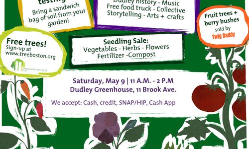 Thumbnail for City Farm Fest: Seedling Sale and Celebration