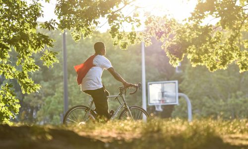Thumbnail for Bike and Bird