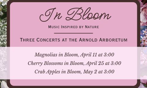 Thumbnail for Magnolias in Bloom: Music Inspired by Nature