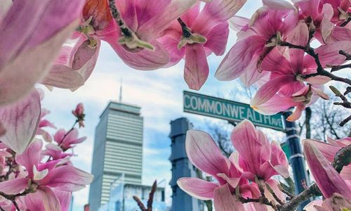 Thumbnail for 86 Things to Do in Boston for $10 or Less: April 2026