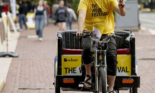 Thumbnail for The WBUR Festival Street Fair