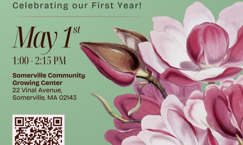 Thumbnail for Little Songbook In Bloom