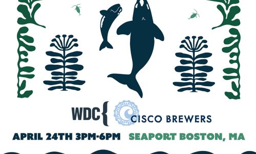 Thumbnail for Right Whale Day Celebration