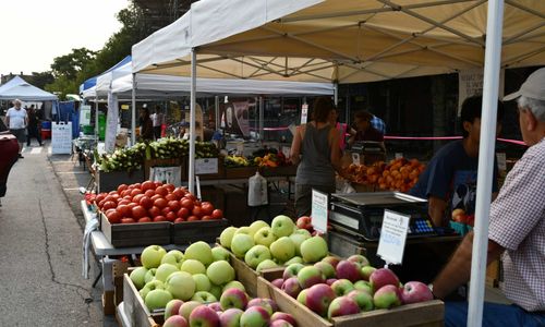 Thumbnail for 22nd Annual Union Square Farmers Market