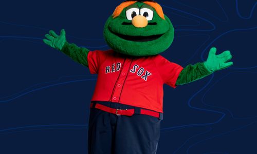 Thumbnail for Mascot Day at View Boston