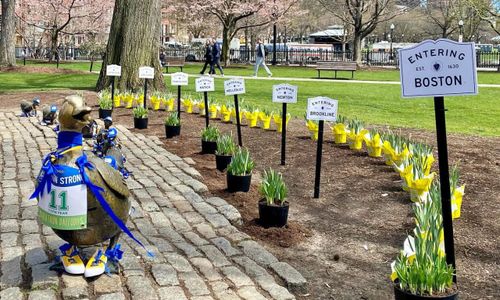 Thumbnail for 90 things to do in Boston this weekend