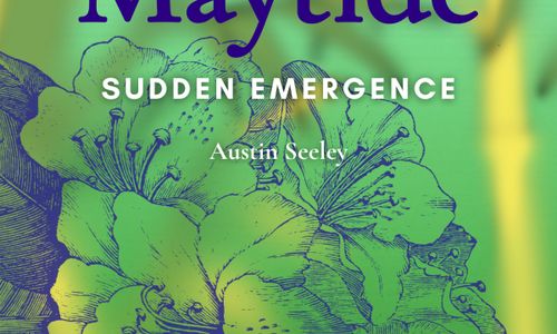 Thumbnail for Maytide: Suden Emergence Opening Reception 