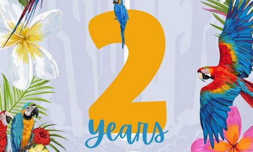 Thumbnail for 2 Years of Carolicious: a Beer Garden Party