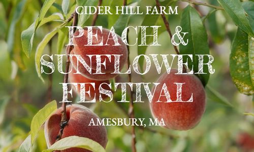 Thumbnail for  Peach & Sunflower Festival - August 8-9 & 15-16
