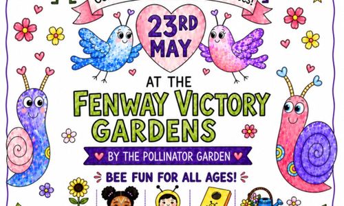 Thumbnail for World Bee Day Celebration 2026 at the Fenway Victory Gardens 