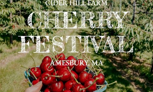 Thumbnail for 1st Annual Cherry Festival at Cider Hill Farm