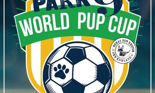 Thumbnail for Park-9 World Pup Cup