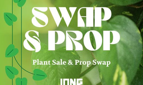 Thumbnail for Swap & Prop // Plant Swap Meet and Tropical Houseplant Sale