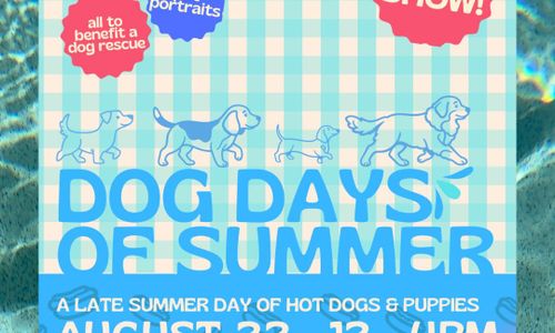 Thumbnail for Dog Days of Summer 🐶