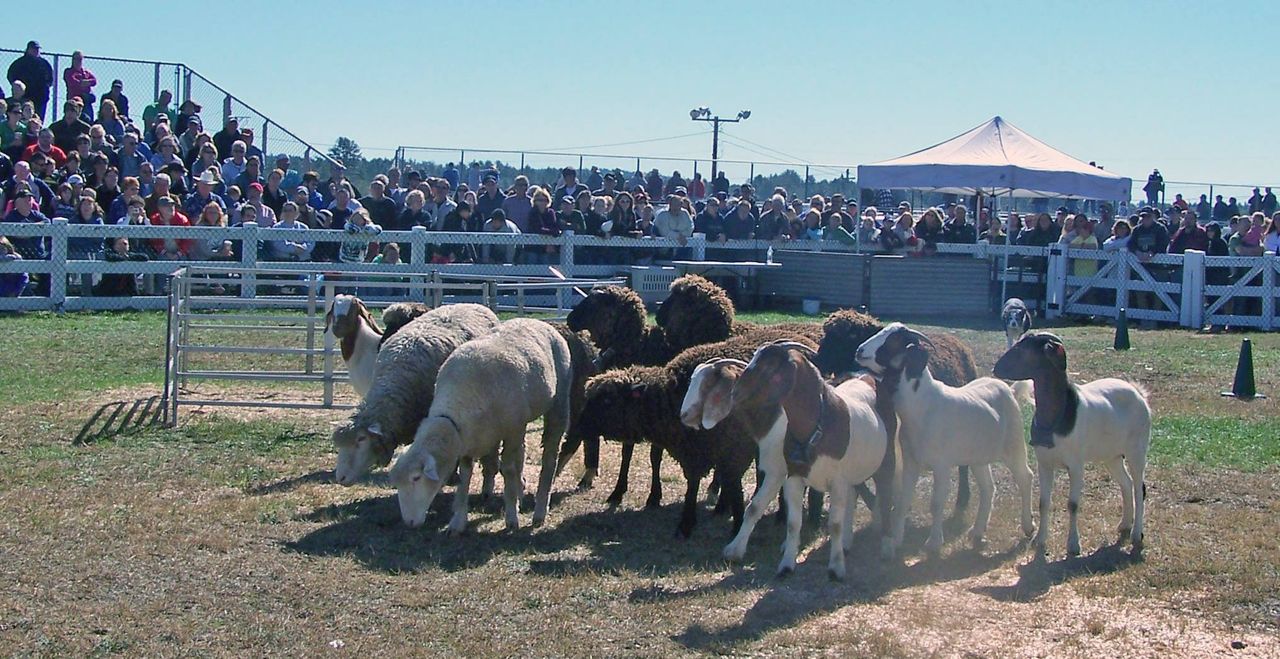 The Deerfield Fair 2022 09 29 22 