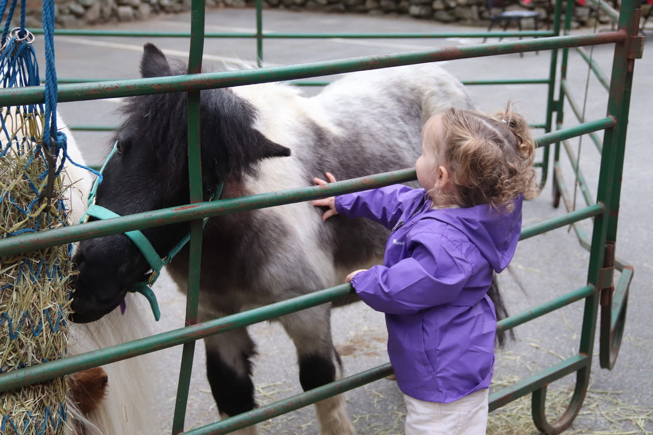 kids-family-animal-rights-day-04-08-23