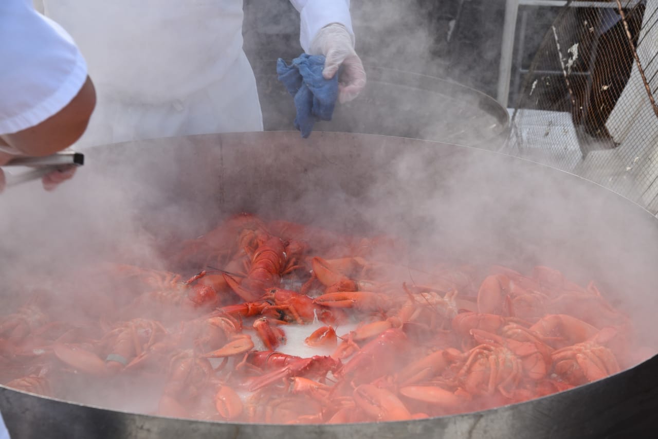 Boston Seafood Festival [09/10/23]