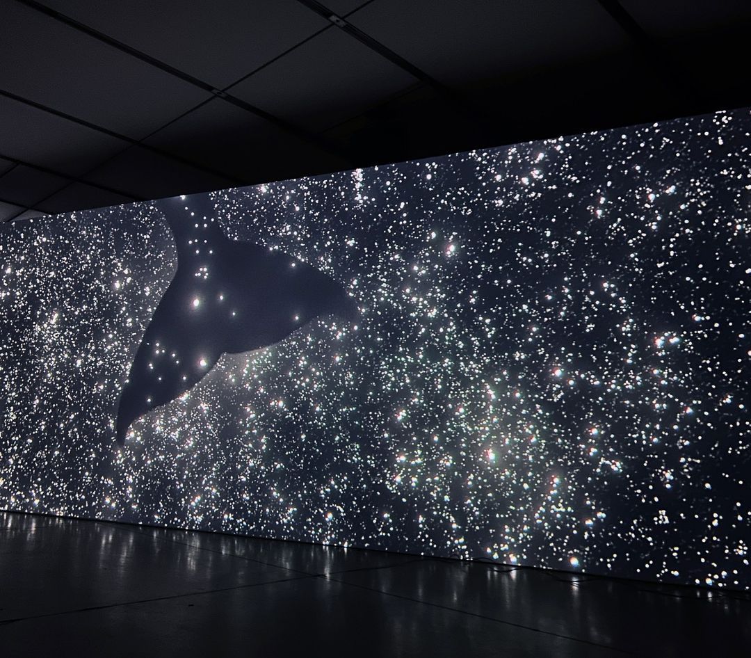 Wu Tsang: Of Whales at the Institute of Contemporary Art [02/15/24]