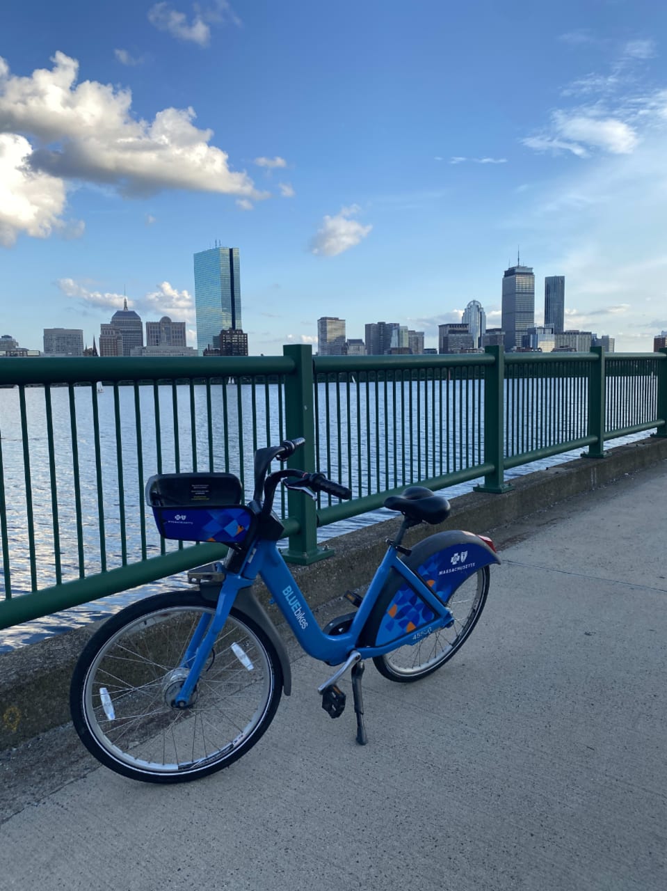 Blue cross bikes deals