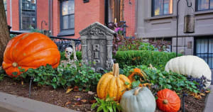 The 10 Best Neighborhoods in Boston to See Halloween Decorations [10/01/23]