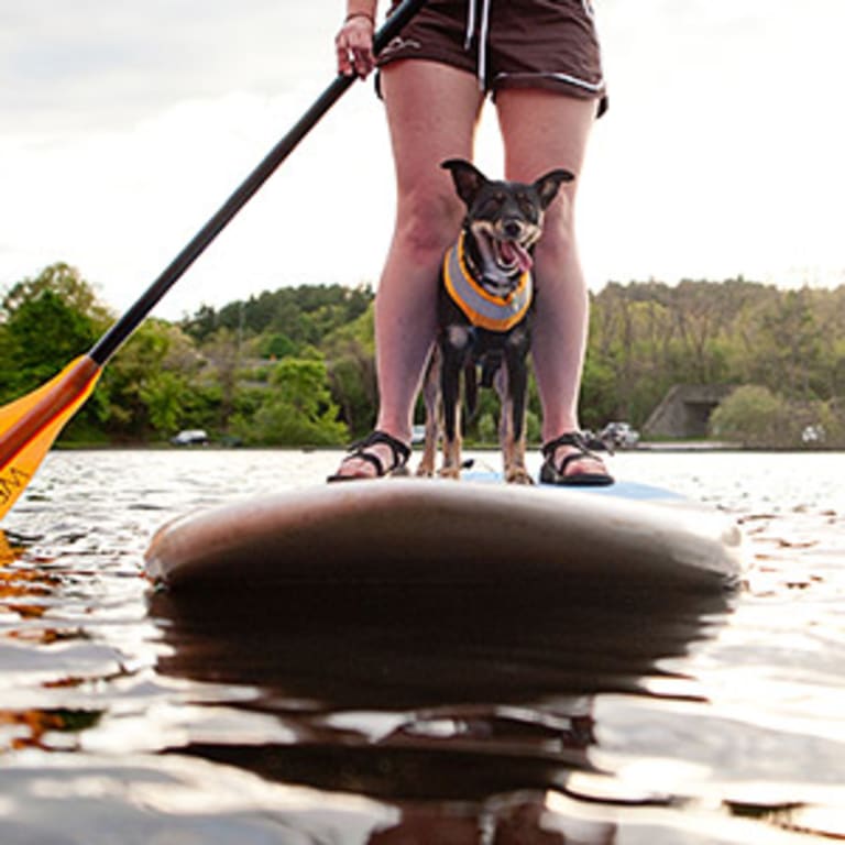 Paddle Boston - Charles River Canoe & Kayak