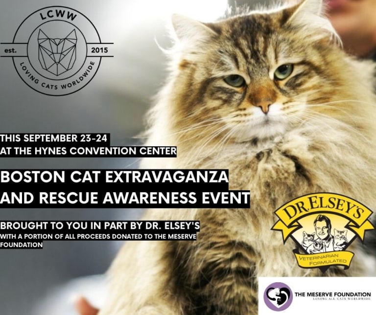 Boston Cat Extravaganza & Rescue Awareness Event [09/23/23]