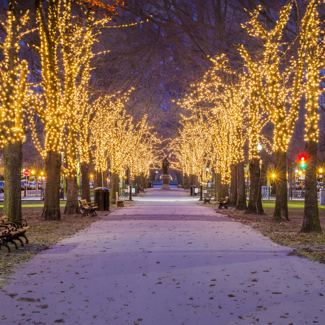 10 Holiday Lighting Celebrations Coming to Boston in 2023 Joyraft
