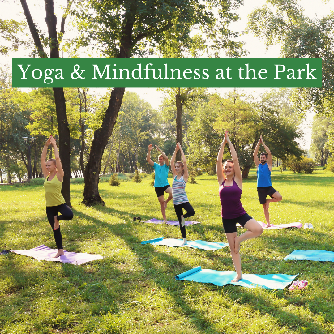 embodied somatic practices person practicing mindfulness in a park