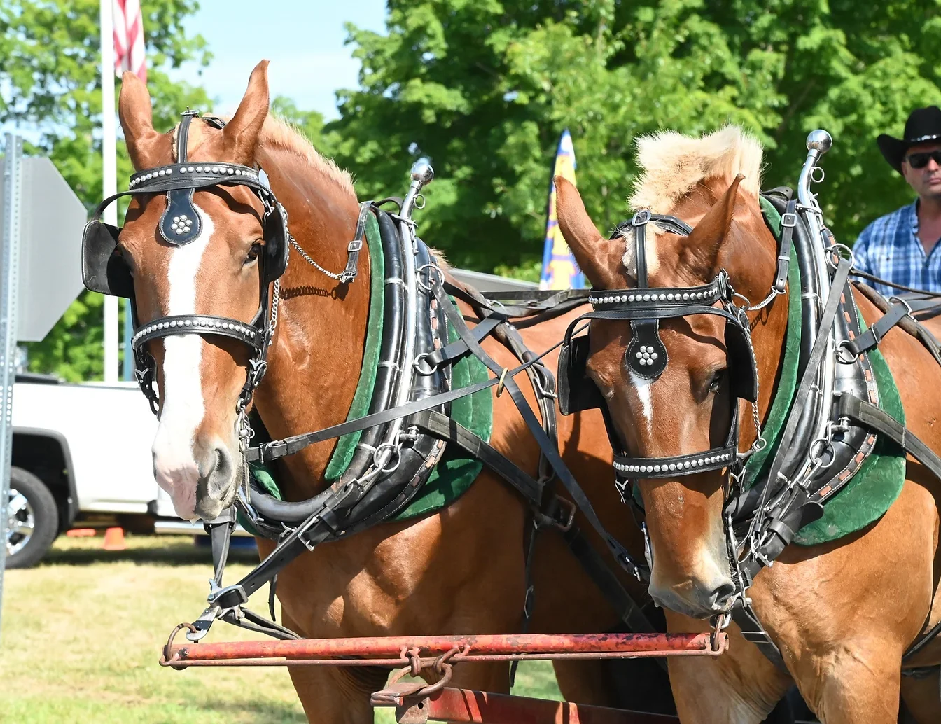 Hardwick Community Fair [08/18/23]